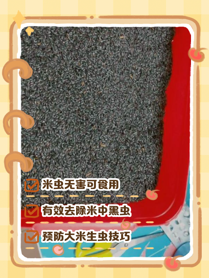 大米里面有虫子怎么办
