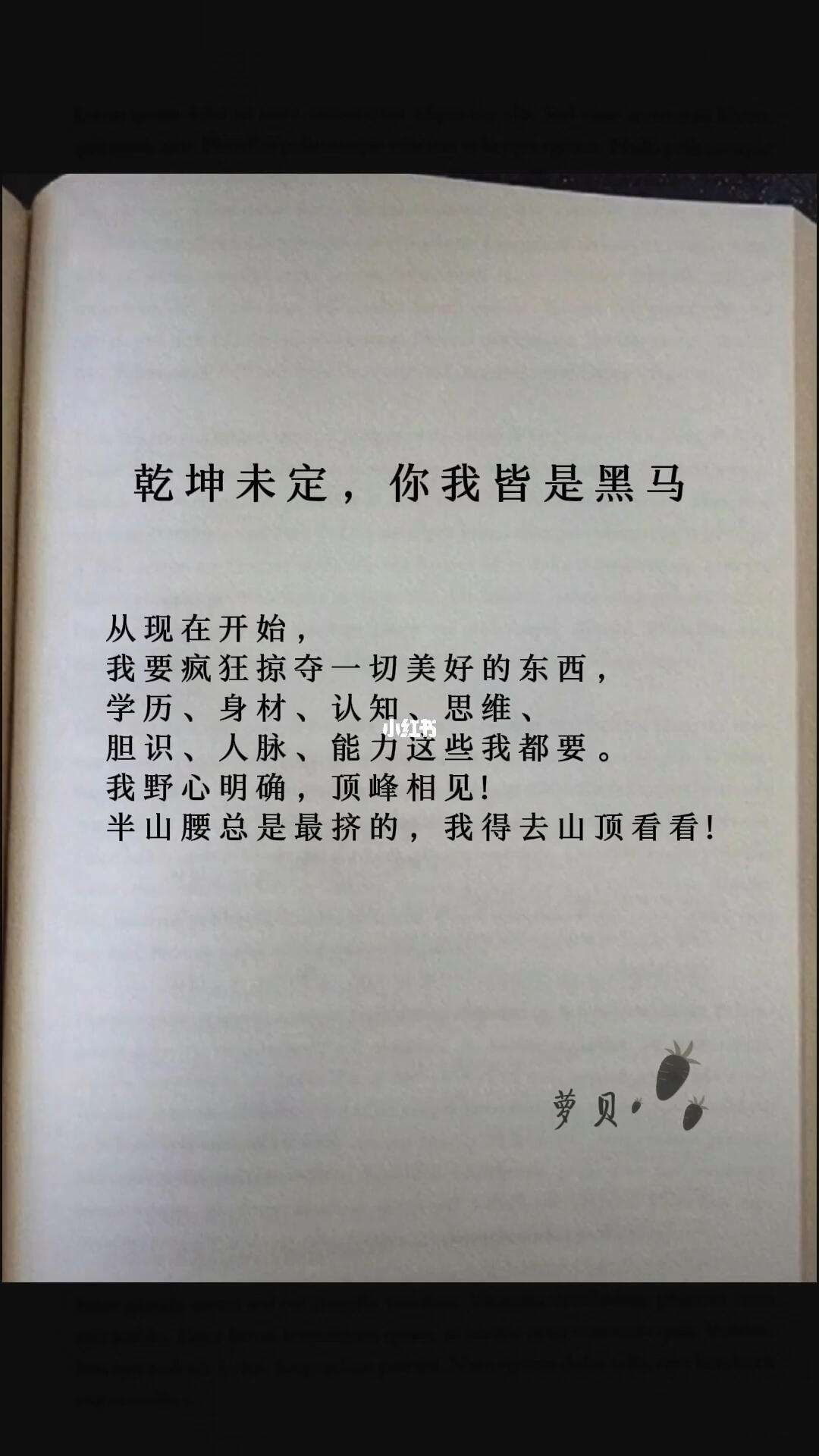 怎么理解你我皆是黑马什么意思