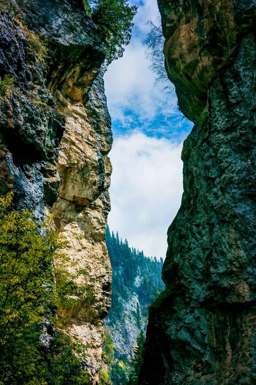 内蒙古海拔多少米