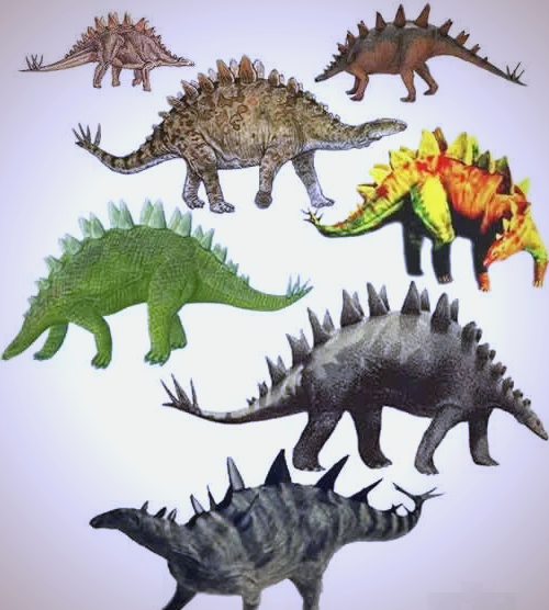 剑齿龙和剑龙差别