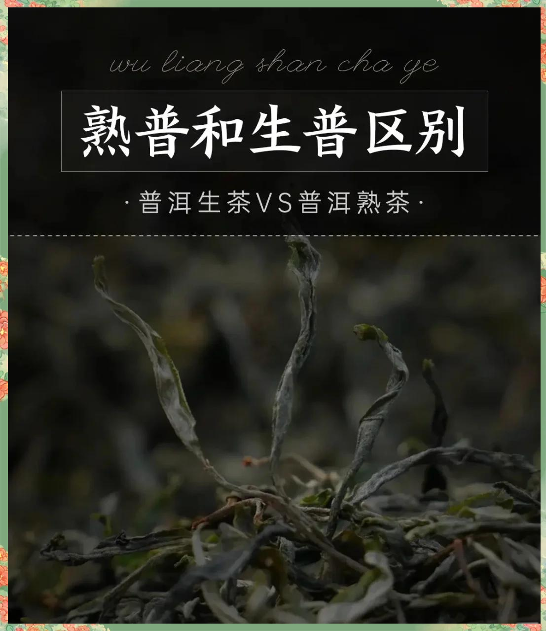 熟普洱茶的功效与哪些
