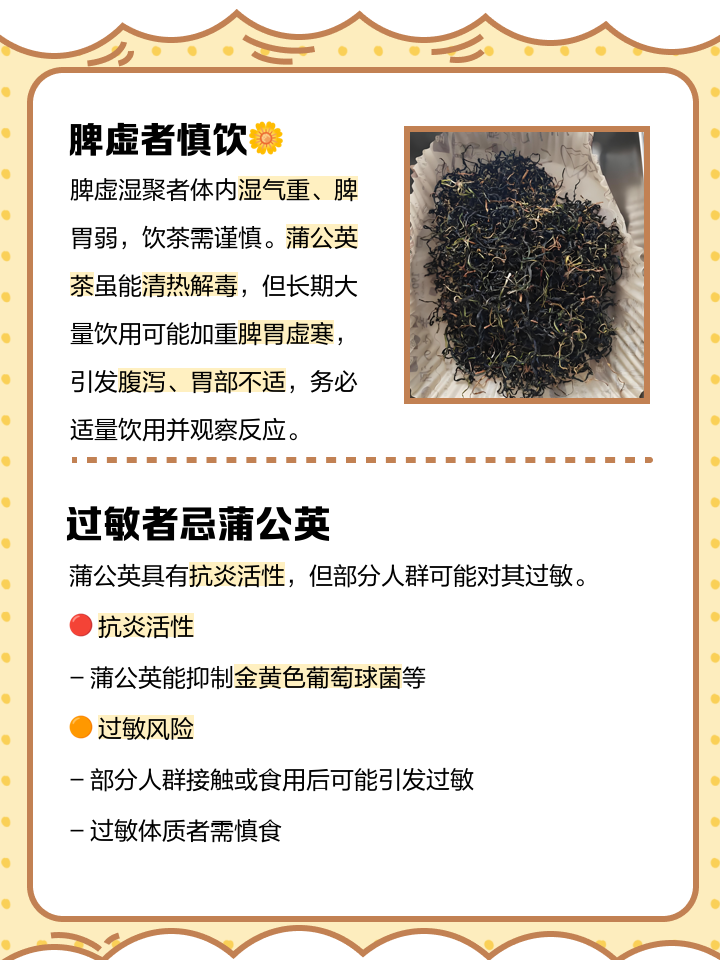 蒲公英泡水喝的三大禁忌