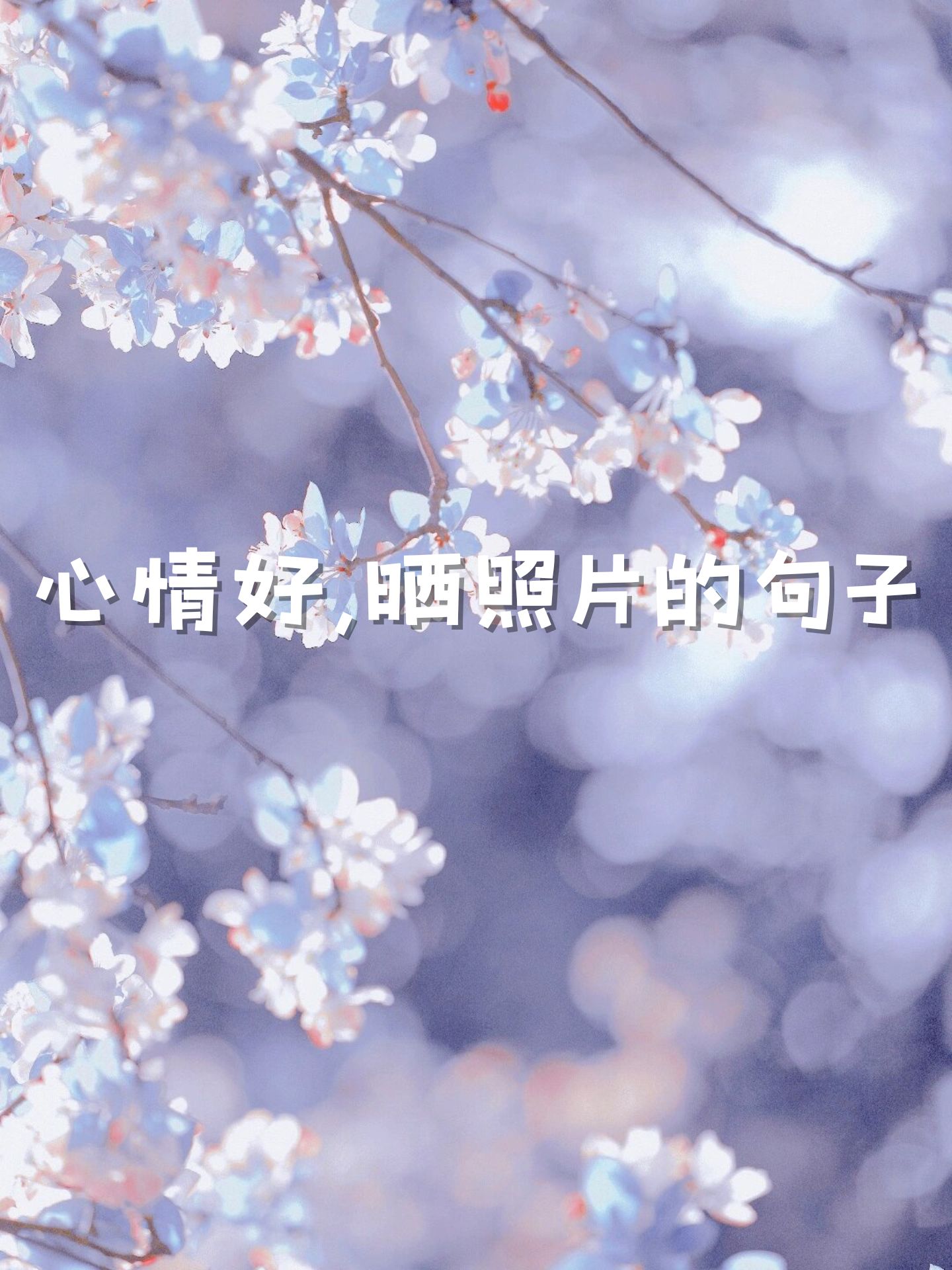 表达今天心情好的朋友圈句子