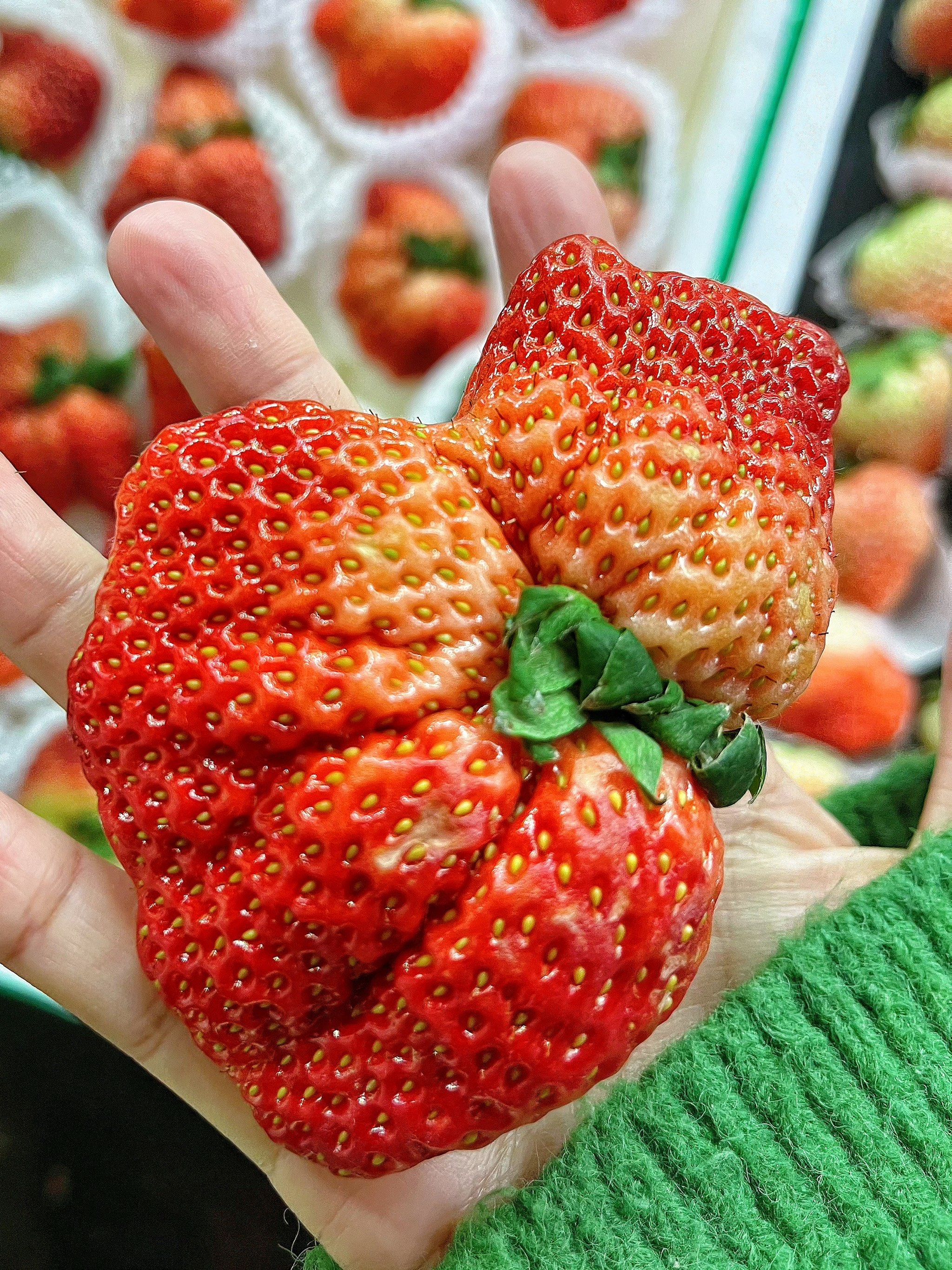 草莓不能跟什么一起吃